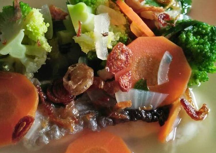 Sup ikan patin mpasi