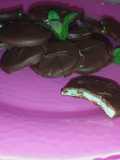 Mentitas de Yangri