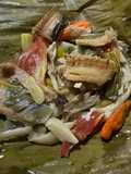 Pepes Ikan Asin Gabus