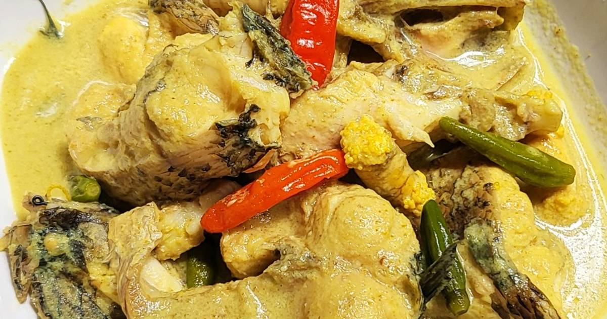 Resep Tradisional Gulai Ikan Sungai Khas Sikabau