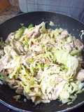 Pollo y col