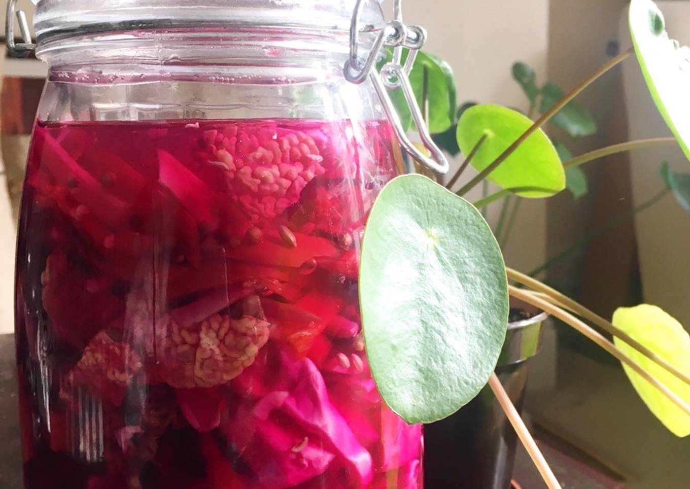 Fermented Coleslaw