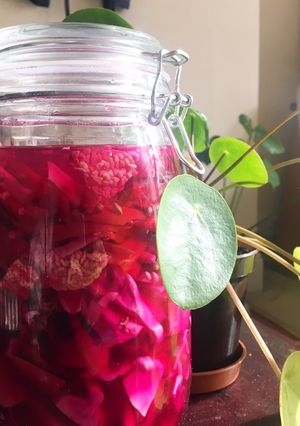 A picture of Fermented Coleslaw.