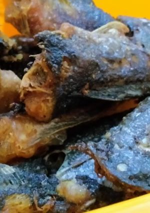 Foto resep Lele Goreng TWL (Tradisional Warisan Leluhur)