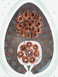 عکسی از دستور دونات🍩