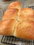Potato dinner rolls