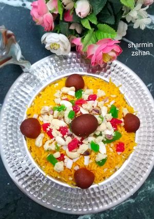 A picture of Zarda.