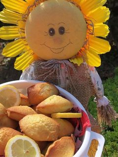 Une photo de Madeleine allégée au citron 🍋