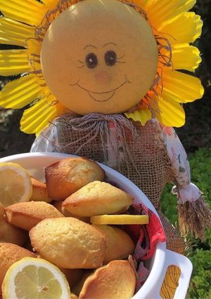 Une photo de Madeleine allégée au citron 🍋