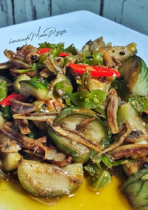 Foto resep Tumis Teri Terong Bulat