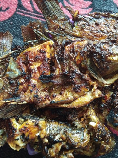 Foto resep Ikan mujair bakarrr