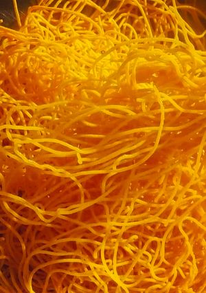 A picture of Sev.