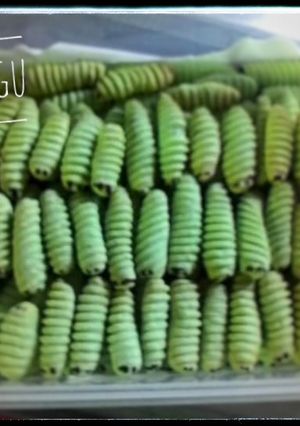 Foto resep Ulat Sagu Keju