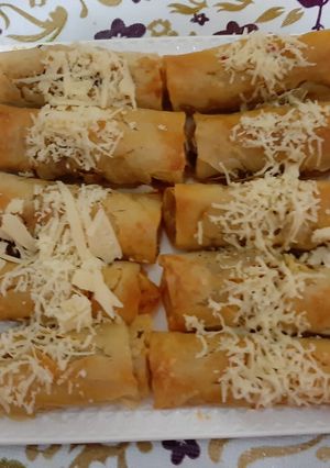 A picture of Cigars or Briouats with Chinese Vermicelli and Ground Beef.