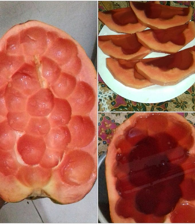 Foto resep Menu cheating day (3) agar2 pepaya