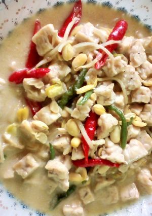 Foto resep Sayur lodeh tempe kecambah
