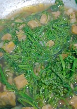 Foto resep Cah Sayur tempe Kelakai