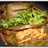 PEPES AYAM Pedas tanpa santan (#postingrame2_ayam)