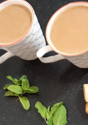 ગોળ ની મસાલેદાર ચા (Masala Tea Recipe in Gujarati) રેસીપી મુખ્ય ફોટો