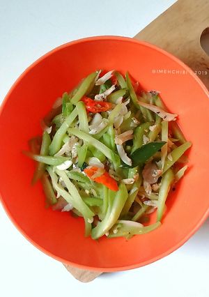 Foto resep Tumis Labu Siam Teri