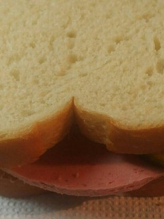 A picture of Bologna Sandwich with homemade Bread and butter pickles.