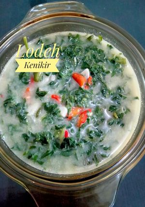 Foto resep Lodeh Kenikir
