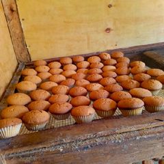 A picture of Vanilla cupcake.