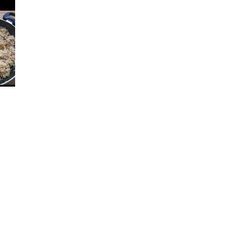 A picture of Mutton string hopper biriyani.