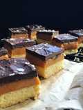 Millionaire Shortbread