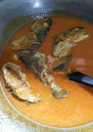 Foto resep Gulai ikan salam