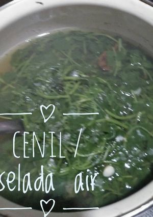 Foto resep Cenil / Selada Air Soup
