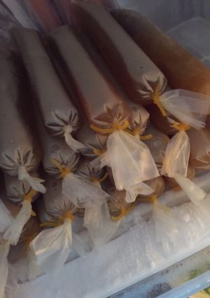 Foto resep Es Lilin Kacang Hijau