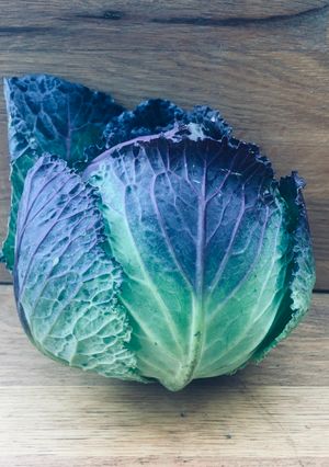 A picture of Chilli and Garlic Purple Cabbage or Sprouting.
