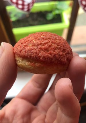 Une photo de Des petits choux roses 🌹
