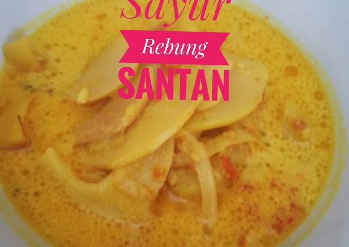 Standar Bagaimana cara bikin Sayur Rebung Santan dijamin lezat