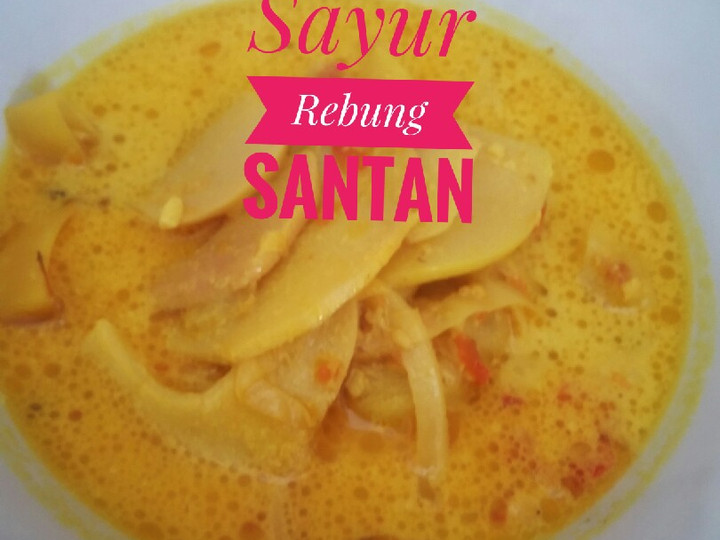 Standar Bagaimana cara bikin Sayur Rebung Santan dijamin lezat