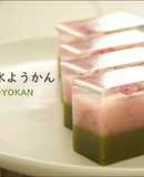 Cherry Blossoms and Matcha ''MIZU-YOKAN'' (White Bean Jelly)