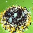 Jasuke (Jagung, Susu, Keju+Coklat)