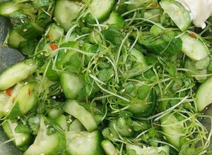 Hình của món Gỏi dưa chuột baby, rau mầm.