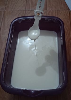 Foto resep Homemade Plain Yogurt