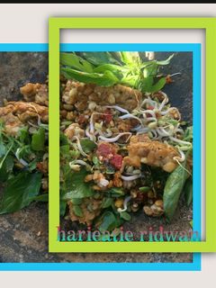 Foto resep Tempe sambal kencur