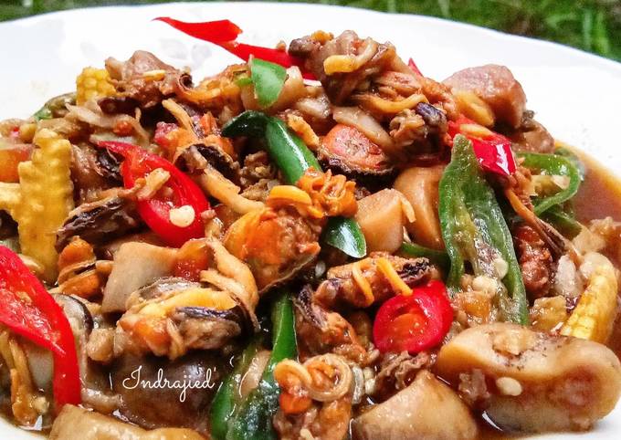 Resep: Kerang Jamur Saos Lada Hitam Enak