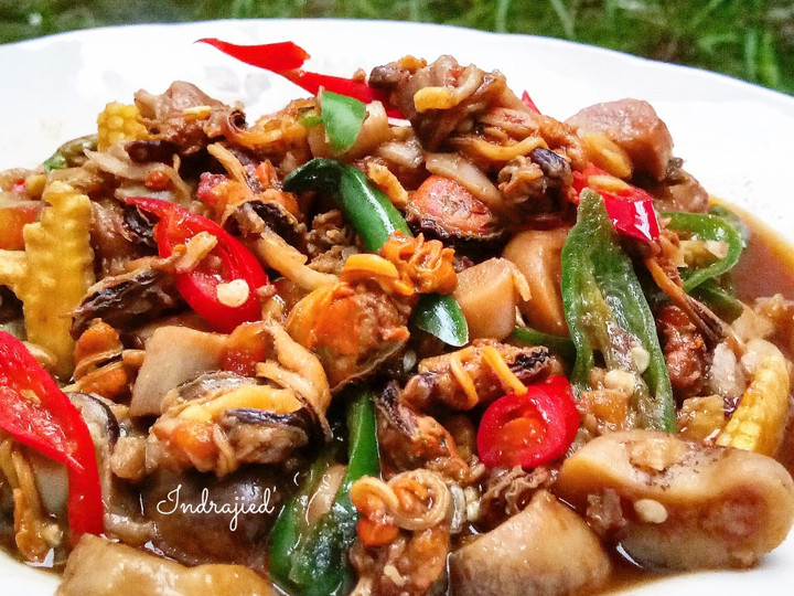 Resep: Kerang Jamur Saos Lada Hitam Enak