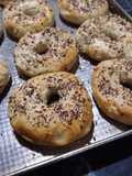 Bagels 🥯