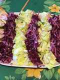 Salade bicolore de chou rouge,oignon de roscoff et scarole