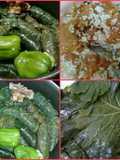 Stuffed Grape Leaves 🤗