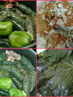 A picture of Stuffed Grape Leaves 🤗.