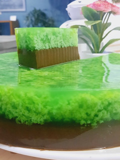 Foto resep Puding Lumut Suji Chocolate