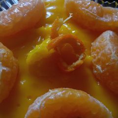 A picture of Orange Custard 🧡🍊🧡.
