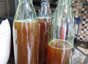 Foto resep Teh Kombuca